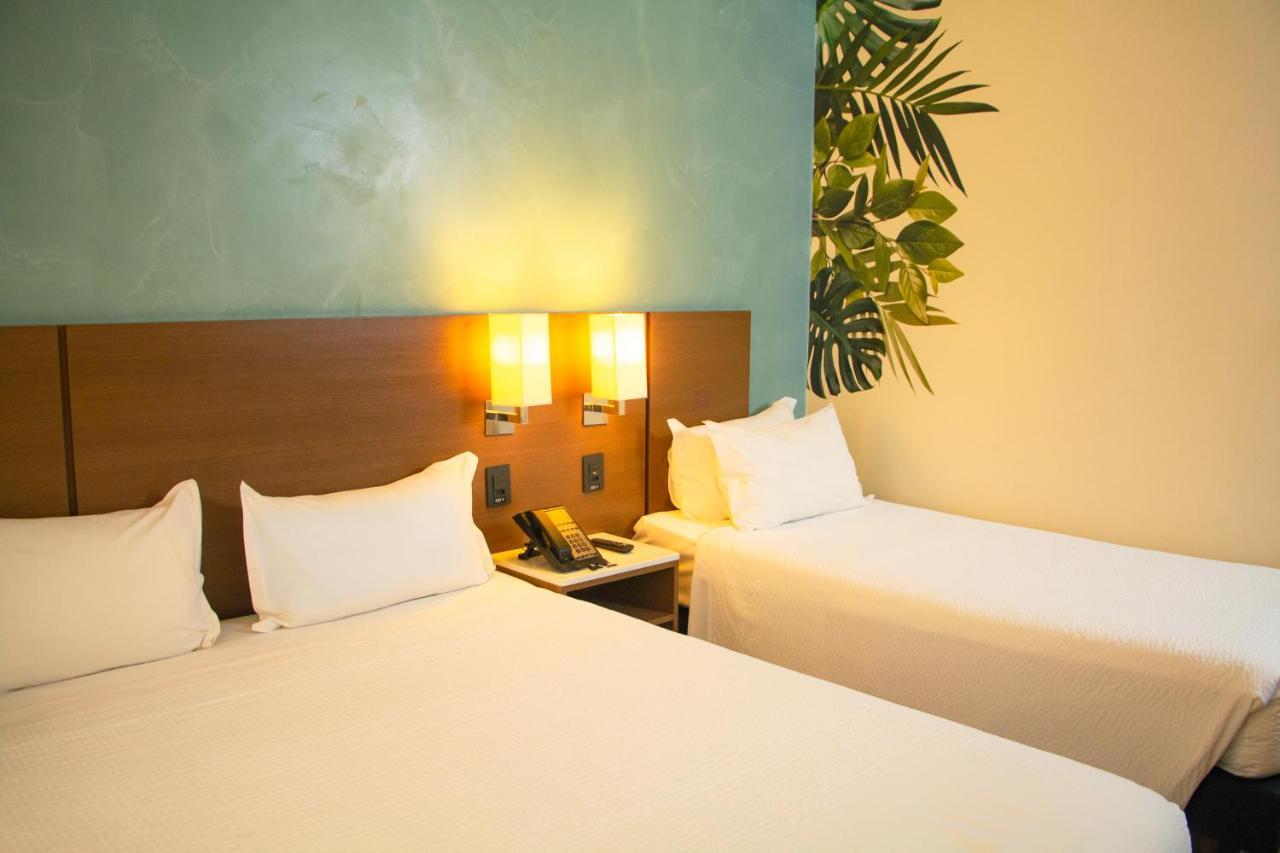 Ibis Styles Curitiba Aeroporto Hotel Sao Jose dos Pinhais Ngoại thất bức ảnh